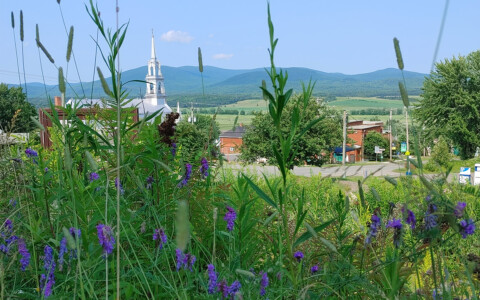Canton de Lingwick — Estrie Cantonsdel'Est